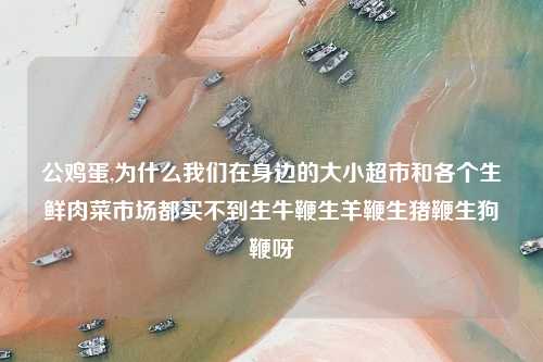 公鸡蛋,为什么我们在身边的大小超市和各个生鲜肉菜市场都买不到生牛鞭生羊鞭生猪鞭生狗鞭呀