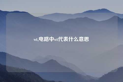 wt,电路中wt代表什么意思
