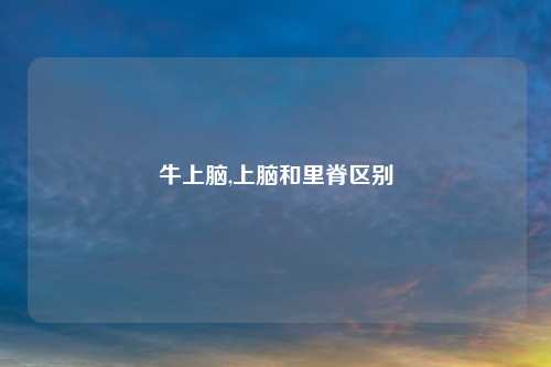 牛上脑,上脑和里脊区别
