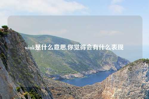 wink是什么意思,你觉得会有什么表现