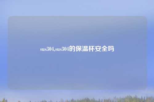 sus304,sus304的保温杯安全吗