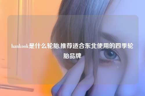 hankook是什么轮胎,推荐适合东北使用的四季轮胎品牌