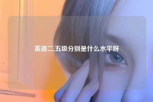 英语二,五级分别是什么水平呀