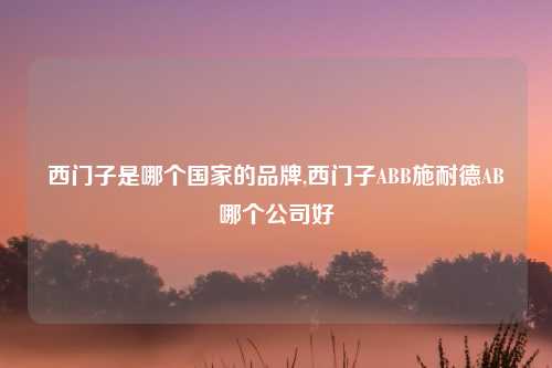 西门子是哪个国家的品牌,西门子ABB施耐德AB哪个公司好