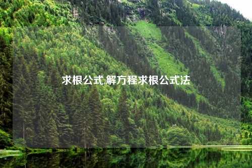 求根公式,解方程求根公式法