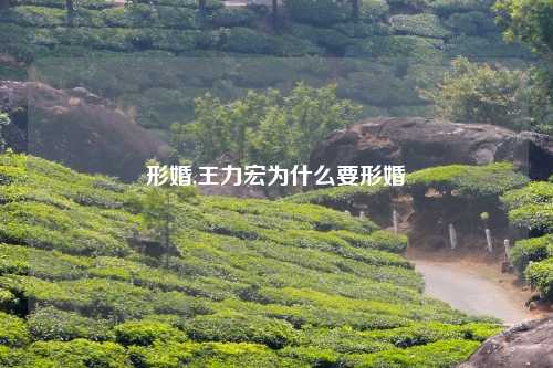 形婚,王力宏为什么要形婚