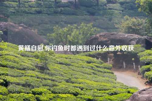 黄鳝自慰,你钓鱼时都遇到过什么意外收获