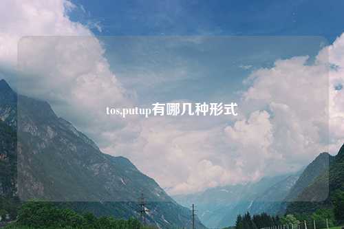 tos,putup有哪几种形式