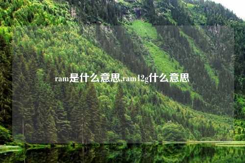ram是什么意思,ram12g什么意思
