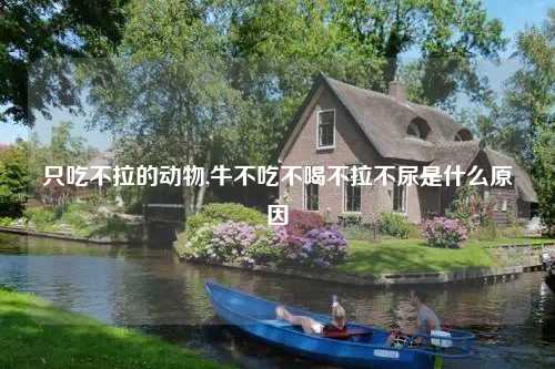 只吃不拉的动物,牛不吃不喝不拉不尿是什么原因