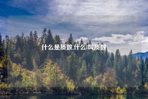 什么是质数,什么l叫质数
