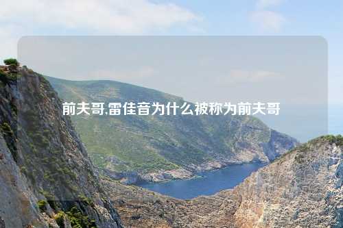 前夫哥,雷佳音为什么被称为前夫哥