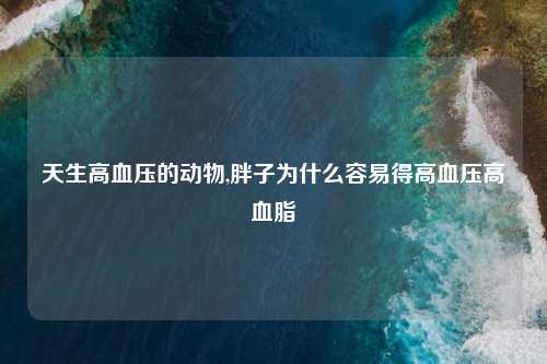 天生高血压的动物,胖子为什么容易得高血压高血脂
