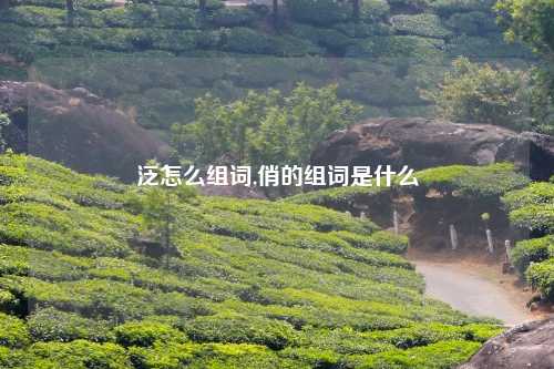 泛怎么组词,俏的组词是什么