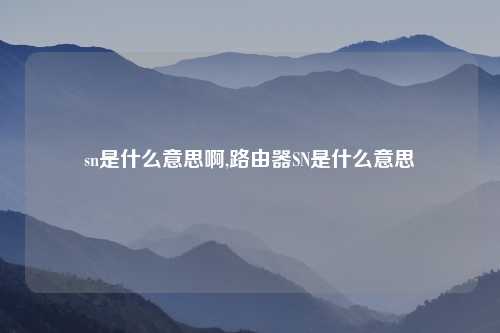 sn是什么意思啊,路由器SN是什么意思
