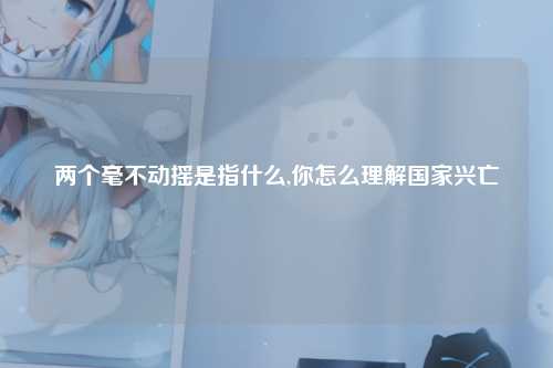 两个毫不动摇是指什么,你怎么理解国家兴亡