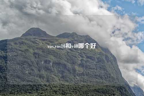 vos,vos10和v40哪个好
