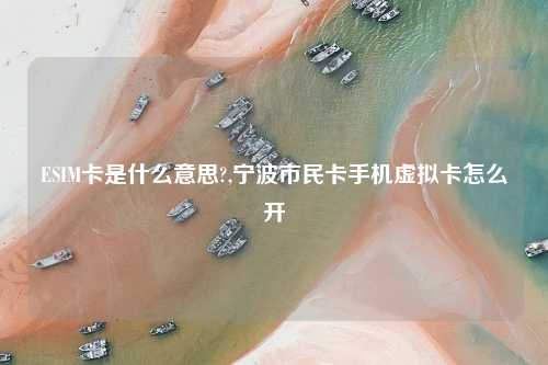 ESIM卡是什么意思?,宁波市民卡手机虚拟卡怎么开