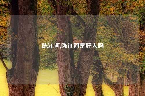 陈江河,陈江河是好人吗