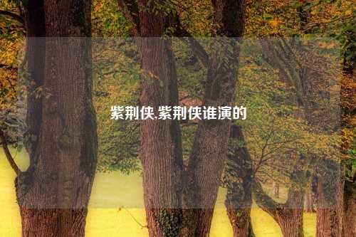 紫荆侠,紫荆侠谁演的