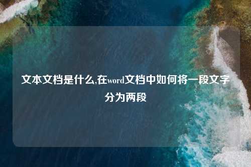 文本文档是什么,在word文档中如何将一段文字分为两段