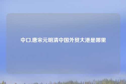 中口,唐宋元明清中国外贸大港是哪里