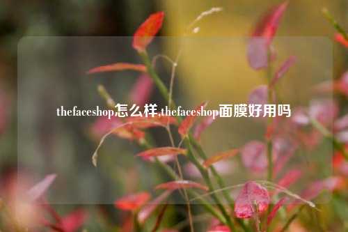 thefaceshop怎么样,thefaceshop面膜好用吗