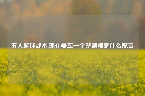 五人篮球战术,现在美军一个整编师是什么配置