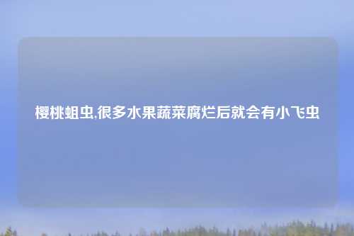 樱桃蛆虫,很多水果蔬菜腐烂后就会有小飞虫
