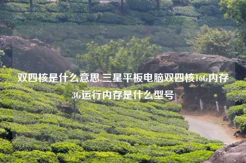 双四核是什么意思,三星平板电脑双四核16G内存3G运行内存是什么型号