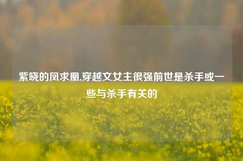 紫晓的凤求凰,穿越文女主很强前世是杀手或一些与杀手有关的