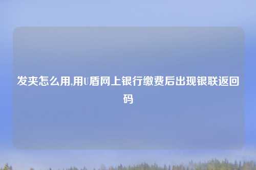 发夹怎么用,用U盾网上银行缴费后出现银联返回码
