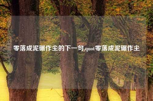 零落成泥碾作尘的下一句,quot零落成泥碾作尘