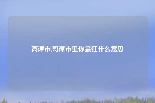 高谭市,哥谭市里你最狂什么意思