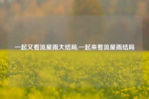 一起又看流星雨大结局,一起来看流星雨结局