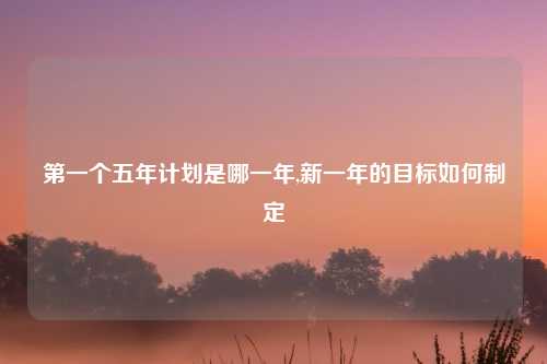 第一个五年计划是哪一年,新一年的目标如何制定