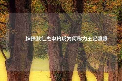 孃孃,神探狄仁杰中玲珑为何称为王妃娘娘