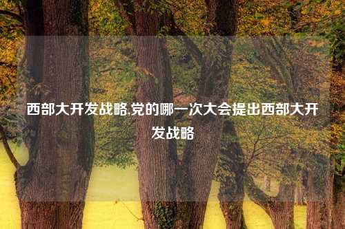 西部大开发战略,党的哪一次大会提出西部大开发战略