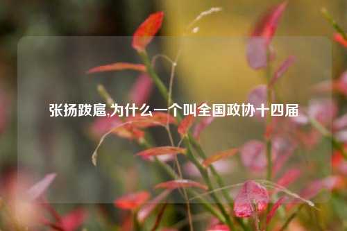 张扬跋扈,为什么一个叫全国政协十四届