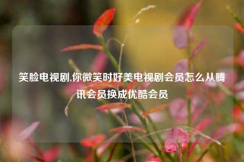笑脸电视剧,你微笑时好美电视剧会员怎么从腾讯会员换成优酷会员
