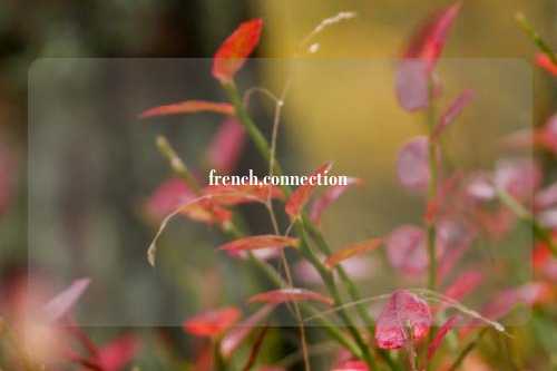 french,connection
