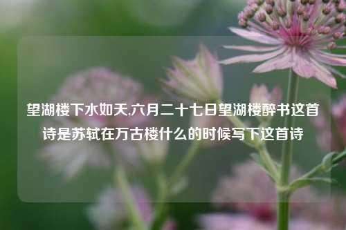 望湖楼下水如天,六月二十七日望湖楼醉书这首诗是苏轼在万古楼什么的时候写下这首诗