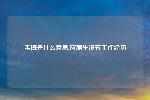 毛概是什么意思,应届生没有工作经历