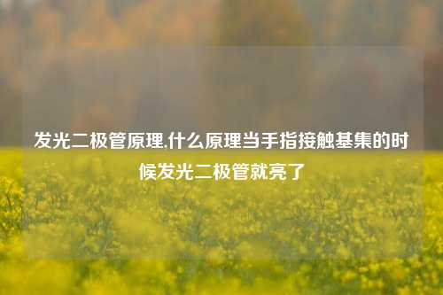 发光二极管原理,什么原理当手指接触基集的时候发光二极管就亮了