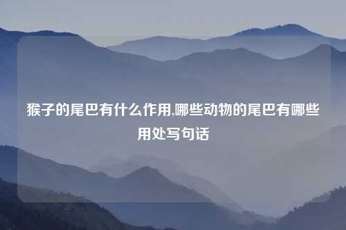 猴子的尾巴有什么作用,哪些动物的尾巴有哪些用处写句话