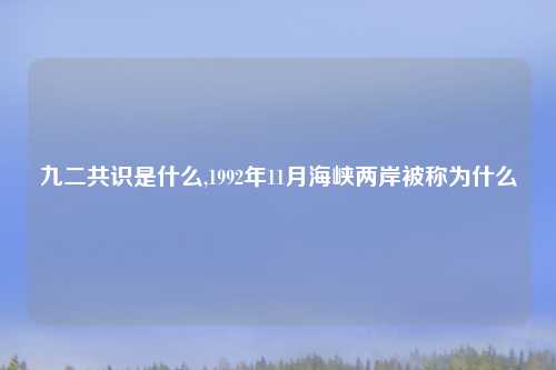 九二共识是什么,1992年11月海峡两岸被称为什么