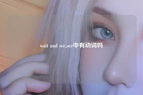 wait and see,see中有动词吗