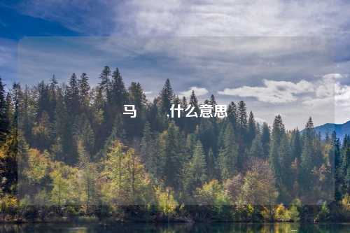 马騳骉,什么意思