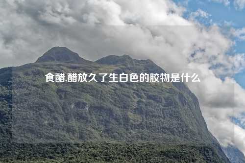 食醋,醋放久了生白色的胶物是什么