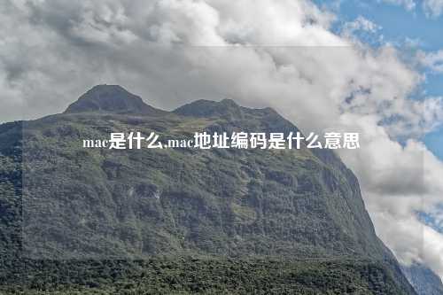 mac是什么,mac地址编码是什么意思